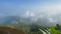 Airborn Field Notes #4: Some Journeys Are Meant to Slow You Down