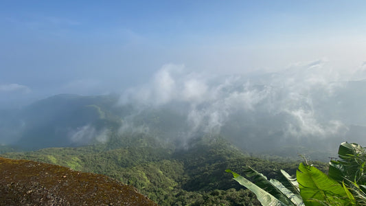 Airborn Field Notes #4: Some Journeys Are Meant to Slow You Down