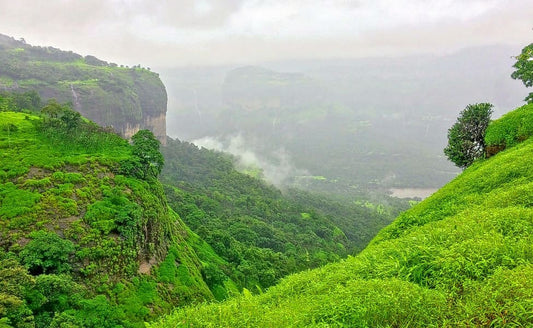 Maharashtra Through the Trail #6: Andharban Forest Trek