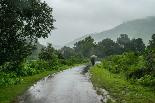 Airborn Trail Essentials #1: How to Prepare for Your First Monsoon Trek