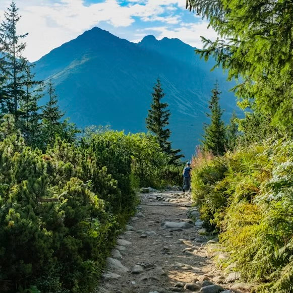 Airborn Trailcraft #1: How to Build Trekking Endurance for Longer Hikes