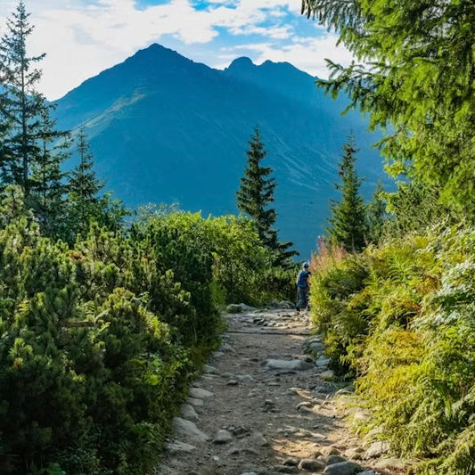 Airborn Trailcraft #1: How to Build Trekking Endurance for Longer Hikes