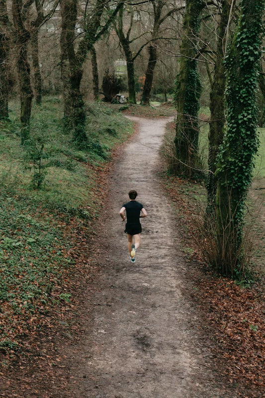 Airborn Field Notes #3: The Trail Doesn't Care Who You Are